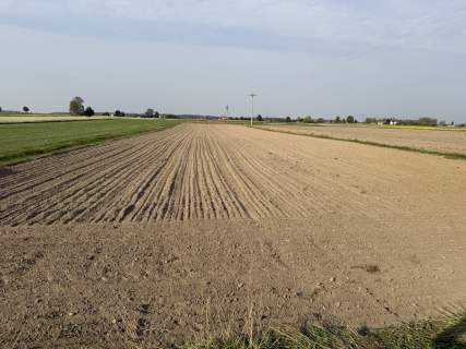 Działka budowlana Nepomucenów w gm. Budziszewice z WZ 2900m2