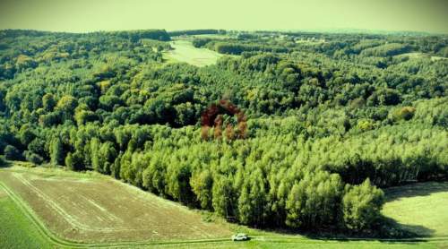 LAS I GRUNTY NA SPRZEDAŻ GNOJNICA, GMINA ROPCZYCE 1,58 HA 