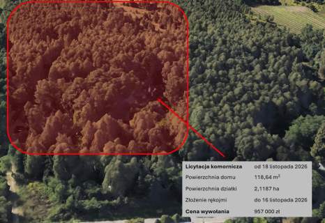 Blisko Łodzi, las, duża działka, licytacja komornicza