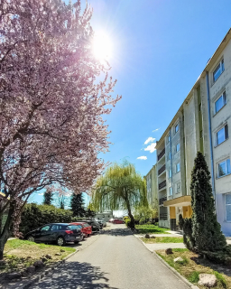 Osowa Góra 3 pokoje 65 m Loggia Las