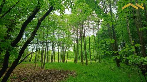 51 arów w otulinie Parku Tenczyńskiego