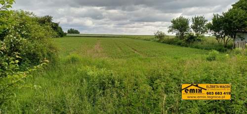 Dom z możliwością rozbudowy i działka rolna pod Złotoryją