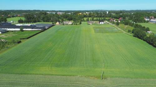 Działka inwestycyjna 3000 m w Miszewku