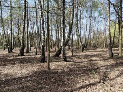 Działka budowlana na sprzedaż, 10904 m2, Anielin Swędowski