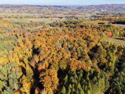 NA SPRZEDAŻ LAS BUKOWY 68,58 AR - GLINIK ŚREDNI, DOGODNY DOJAZD