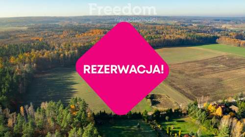 Działka budowlana z usługami blisko lasu