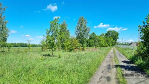 działka na odludziu ok. 35 km od morza i 10 km od