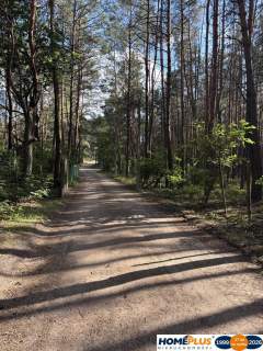 Działka budowlana w lesie, Łosie koło Radzymina