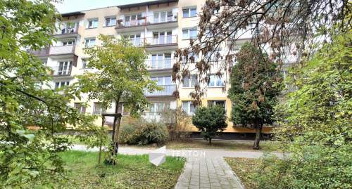 3-pokojowe mieszkanie blisko parku/Górna