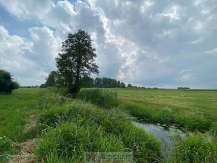 Działki rolne z lasem i łąką, Jeleniec