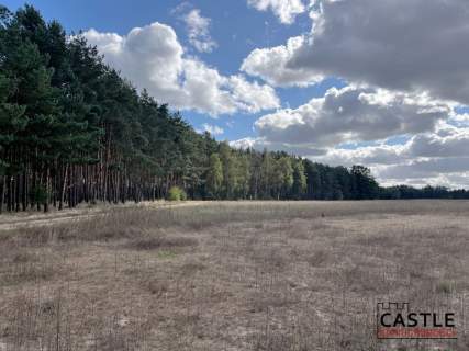 Działka budowlana blisko lasu, Trzciel/Jasieniec