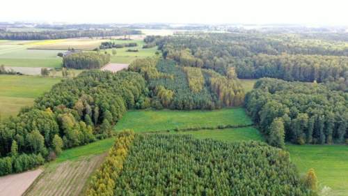 Siedlisko otoczone lasem z dużą działką niedaleko Biebrzańskiego...