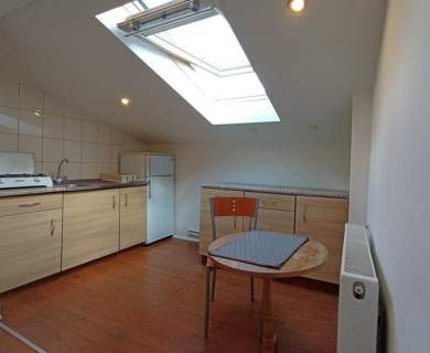 2 pokoje w centrum - Niecała 10, Śródmieście