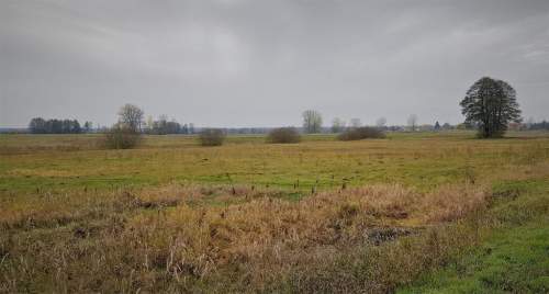 Samoklęski kol. Pierwsza - działka rolna