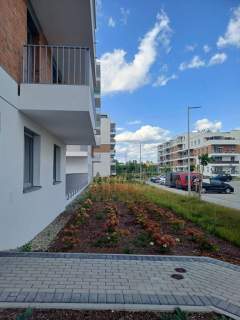 Mieszkanie do wynajęcia, 45 m2, Chorzów