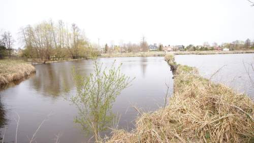 5,42 ha, Stawy rybne, las, Zemborzyce, Lublin