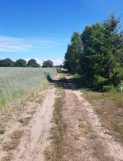 Działka budowlana na sprzedaż, 1100 m2, Sarbsk