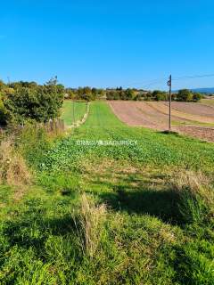 Działka budowlano-rolna w Brzeziu gm.Kłaj