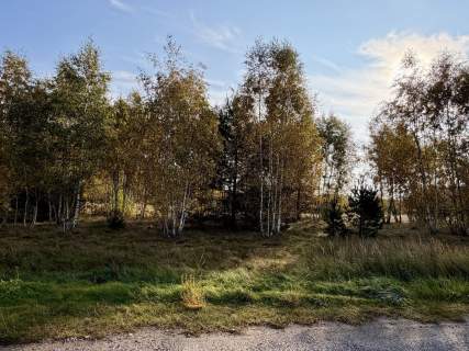 Miękowo Duża działka przy lesie 3 980 m 796 000 zł