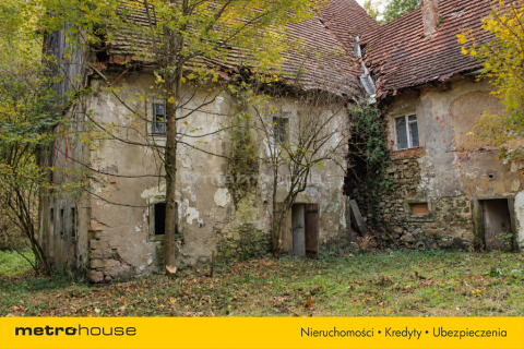 Kamienny młyn w sąsiedztwie SPA - Długopole-Zdrój