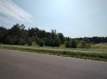 Działka budowlana 560m2 - Anastazewo