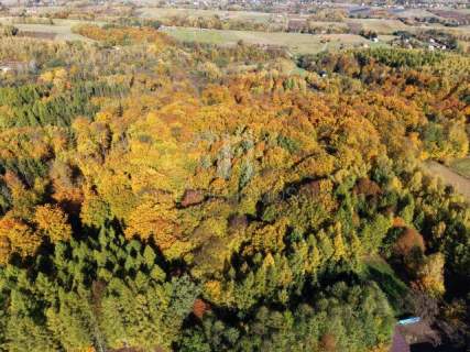 NA SPRZEDAŻ LAS BUKOWY 68,58 AR - GLINIK ŚREDNI, DOGODNY DOJAZD