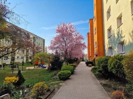 3 pokoje - dużo zieleni - balkon - przestronne