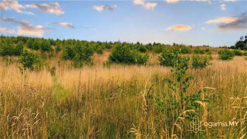 Mosty 147 m 5 pokoi garaż ogród Błękitna Mila