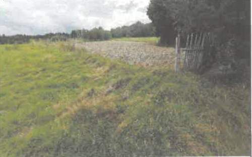Działka rolna na sprzedaż, 5600 m2, Barycz