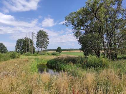 Sprzedam dom na nieruchomości rolnej na Podlasiu