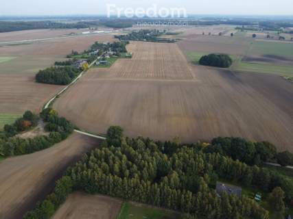 Dębniczka Dom otoczony lasem na działce 9190 m