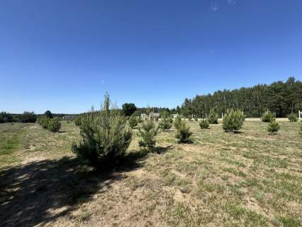 Działka na sprzedaż, 950 m2, Ganina