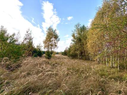 Miękowo Duża działka przy lesie 3 980 m 796 000 zł
