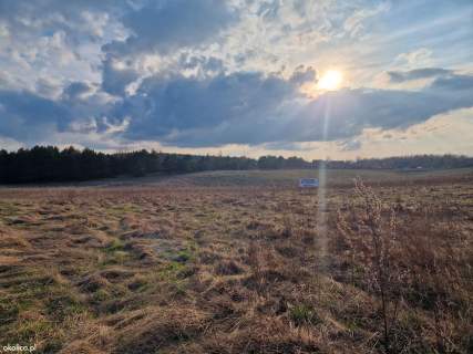 Przy samym LESIE - NAD JEZIOREM 500 m - Skarszewy - GDAŃSK
