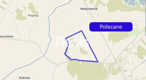 Duża działka rolna 51 ha