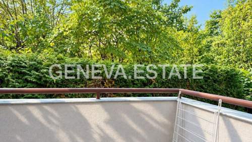 Kawalerka balkon Zwierzęta mile widziane