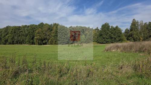 Przęsocin-bardzo atrakcyjna działka budowlana w pobliżu lasu.