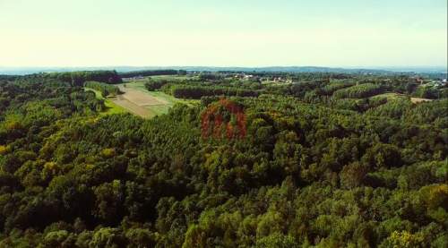 LAS I GRUNTY NA SPRZEDAŻ GNOJNICA, GMINA ROPCZYCE 1,58 HA 