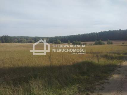Niepowtarzalny dom w otoczeniu lasów.