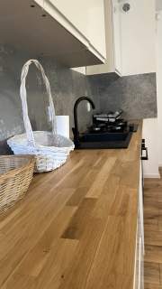Dom z apartamentem przy jeziorze i lesie