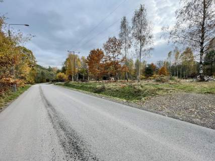 WZ Media Droga asfaltowa Lasy Zalew