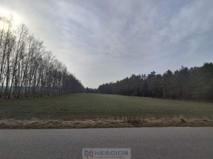 Dwie działki budowlane po 1000 m w Boroszkowie