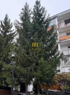 3 pok., Metro Natolin