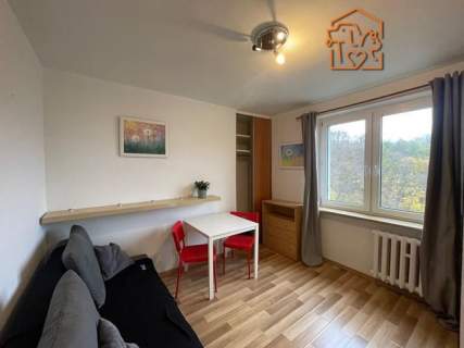 Słoneczna kawalerka, pet friendly   Spadzista
