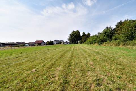 Działka pod Kielcami z MPZP, 9051 m2, Radlin,Górno