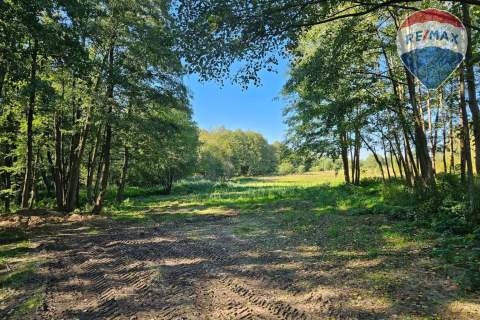 Działka budowlana 2494m2 z lasem nad rzeczką