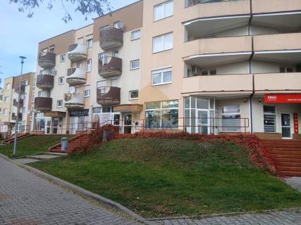 Bezczynszowe 1 piętro balkon piwnica