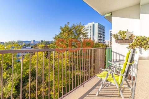 Gotowe do wprowadzenia 48,85 m2 2 pokoje Widzew Balkon 6 m2 Winda