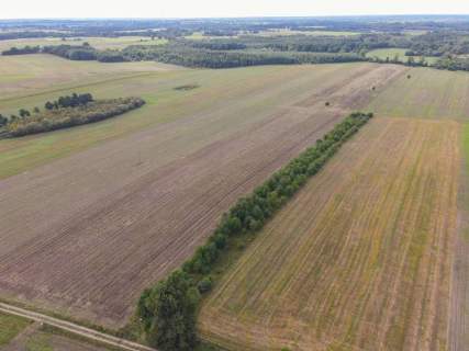 Działka rolna na sprzedaż, 5000 m2, Białogórzyno