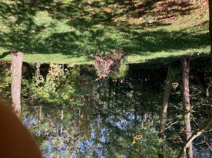 Sprzedam atrakcyjną i ogrodzoną działkę budowlaną